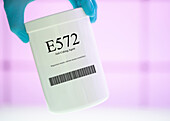 Container of the food additive E572