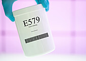 Container of the food additive E579