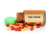 Holy basil herbal medicine, conceptual image