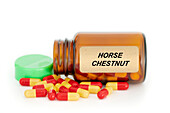Horse chestnut herbal medicine, conceptual image