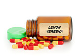 Lemon verbena herbal medicine, conceptual image