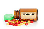 Mugwort herbal medicine, conceptual image