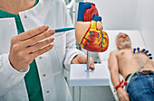 Cardiology, conceptual image
