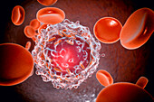 Leukaemia white blood cell with mitochondria, illustration