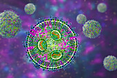 Lipid nanoparticle mRNA vaccine, illustration