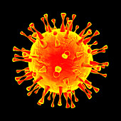 Virus, illustration