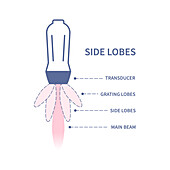 Side lobes in ultrasound, illustration