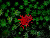 Coronavirus particles, illustration