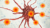 Oncolytic viral therapy, conceptual illustration