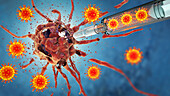 Oncolytic viral therapy, conceptual illustration