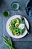 Green pasta with asparagus, prawns and ricotta cheese