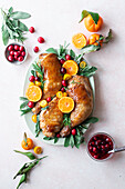 Chicken thighs with cranberry sauce