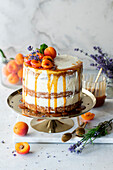 Apricot and lavender naked cake