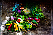 Domestic vegetables on rustic wooden table