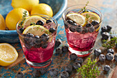 Blueberry-and-thyme gin fizz