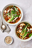 Asiatische Gemüse-Miso-Suppe