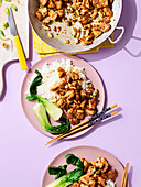 Kung Pao (chicken dish, Sichuan cuisine) with rice and bok choy