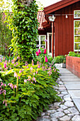 Paving stones and stepping stones between flower beds and raised beds