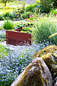Moosbewachsene Steine, Frühlingsblumen und Hochbeet im Garten