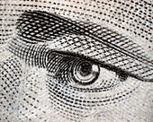 Ten dollar banknote detail, light micrograph