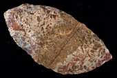 Neolithic scraper