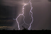 Lightning, Arizona, USA