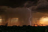 Sunset lightning, Arizona, USA