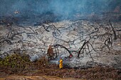 Wildfire, Kern River Oil Field, California, USA