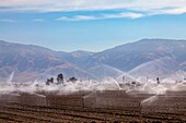Crop irrigation, California, USA
