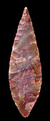 Neolithic stone tool