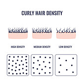 Curly hair density,