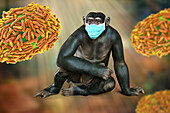 Virus particles around chimpanzee wearing mask, illustration