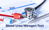 Blood urea nitrogen test, conceptual image