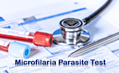 Microfilaria parasite test, conceptual image