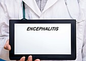 Encephalitis, conceptual image
