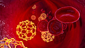 Fullerene nanoparticles in blood, illustration