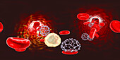 Fullerene nanoparticles in blood, illustration