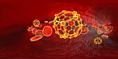 Fullerene nanoparticles in blood, illustration