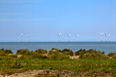 Wind farm