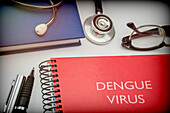 Dengue fever, conceptual image