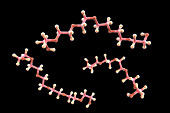 Polyethylene glycol molecule, illustration