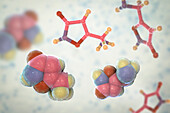 Muscimol molecule, illustration