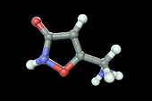 Muscimol molecule, illustration