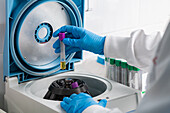Sample being placed into a centrifuge