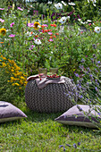 Sitzkissen vor Blumenbeeten mit Marokkanischem Leinkraut (Linaria maroccana), Lavendel, Phlox, Färberkamille (Anthemis tinctoria) und Cosmea
