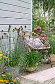 Kugellauch (Allium sphaerocephalon), Hortensien (Hydrangea), Englischer Lauch 'Iden Croft' und Ehrenpreis in Töpfen auf Terrasse
