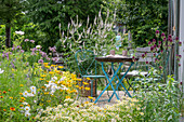Blumenbeete mit Kugellauch (Allium sphaerocephalon), Mädchenaugen (Coreopsis), Mutterkraut (Tanacetum parthenium), Berufkraut (Erigeron) - vor Terrasse