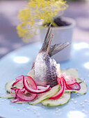 A sardine with cucumber and red onion