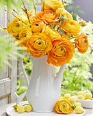 Ranunkel (Ranunculus), orangefarben