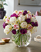 Tulpe (Tulipa)', gefüllte Blüten, Mischung